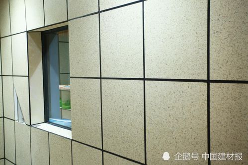 從涂料生產商到系統服務商 創新開拓差異化道路
