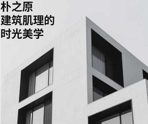 新型混凝土裝飾板材 重構(gòu)建筑的文化詩(shī)學(xué)